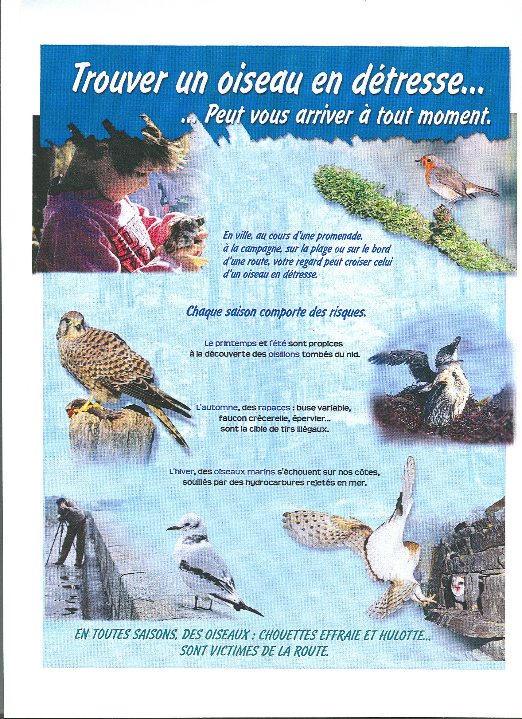 panneau exposition Les oiseaux en soins